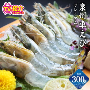 yӂ邳Ɣ[ŁzBԂ 300g H  Ԃ Gr ԊCV vv NxQ {B  H hg hg CV GrtC Ⓚ uԗⓀ   񂹃O 