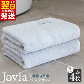 【ふるさと納税】ジョヴィア バスタオル 2枚 / 4枚 選べる カラー アイスグレー / チャコール / ネイビー 約 64cm × 119cm 泉州タオル 日本製 綿 レーヨン 無地 吸水 タオル 柔らか 防災グッズ 最短 翌日発送 5営業日 大阪府 泉佐野市 送料無料