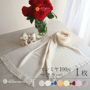 yӂ邳Ɣ[ŁzwNoble Fibrex100JV~E}t[ 1 Iׂ J[ 8F JV~ n I[KjbNzCg x[j CG[ F fj C C^[V t@bV