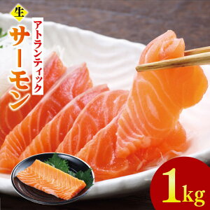 yӂ邳Ɣ[ŁzHIAgeBbNT[ 200g×5P v 1kg  ؂ hg CN Jpb`  T[  CN  CY YHi Ⓚ   