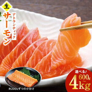 yӂ邳Ɣ[ŁzHI AgeBbNT[ Iׂ e 600g / 1kg / 1.6kg / 2kg / 3kg / 4kg  ؂ hg CN Jpb`  T[  CN  CY YHi Ⓚ 