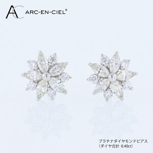�y�ӂ邳�Ɣ[�ŁzARC-EN-CIEL PT�_�C���s�A�X�i�v 0.40ct�j