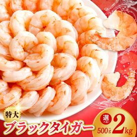 【ふるさと納税】特大 高級 ブラックタイガー 選べる 銀鮭 セット 500g 〜 2kg 定期便 発送時期 訳あり サイズ不揃い 大型 むきえび むき身 背ワタなし バタフライカット 必要な分だけ解凍 バーベキュー エビチリ エビマヨ エビフライ 魚介類 冷凍 送料無料 発送月 泉佐野市