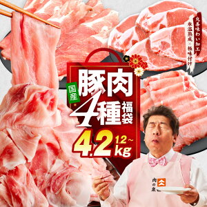 yӂ邳Ɣ[ŁzY ؓ 4  v 1.2kg / 2.4kg / 4.2kg ؂藎Ƃ [XXe[L XCX [XXCX  󂠂 ۑP킢H Xn n Xn  ӂ