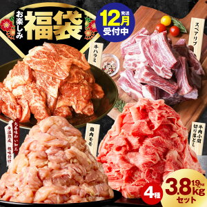 yӂ邳Ɣ[Łzy  4 1.9kg / 3.8kg ؂藎Ƃ n~ XyAu { { Y Xn     Xn ɖt ؓ n Xn ӂ邳Ɣ[ŃI