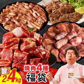 【ふるさと納税】【発送月が選べる】 焼肉 福袋 4種 選べる 内容量 2kg / 4kg 氷温熟成×特製ダレ 500g 小分け 牛タン ヒレ ハラミ バラ 数量限定 冷凍 お取り寄せ 大阪府 泉佐野市 送料無料 氷温熟成牛 牛肉 熟成肉 氷温熟成 ふるさと納税オリジナル 限定 肉の泉佐野