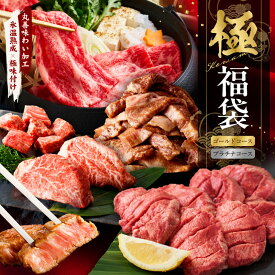 【ふるさと納税】【極】 福袋 選べるコース 5種 1.8kg以上 / 4kg以上 黒毛和牛 ステーキ 牛タン 焼肉 しゃぶしゃぶ すき焼き 肉 氷温熟成×極味付け 大阪府 泉佐野市 送料無料 氷温熟成牛 牛肉 熟成肉 氷温熟成 作り方 ふるさと納税オリジナル 限定 肉の泉佐野 楽天限定