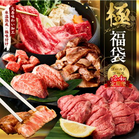 【ふるさと納税】極 福袋 ゴールドコース 定期便 2回 / 3回 / 4回 【毎月配送】 5種 食べ比べ 牛肉 サーロイン ステーキ 牛タン ヒレ バラ 焼肉 しゃぶしゃぶ すき焼き 肉 焼くだけ セット 大阪府 泉佐野市 送料無料 熟成肉 氷温熟成 ふるさと納税オリジナル 限定