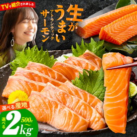 【ふるさと納税】TVで紹介! 訳あり アトランティックサーモン 500g / 1kg / 2kg 刺身 ポーション ブロック 柵 サーモン 鮭 サイズ不揃い 真空パック 魚 海鮮 魚介 生 生食 おかず 小分け 冷凍 ★高評価 ランキング急上昇中 発送月 大阪府 泉佐野市 送料無料 圧倒的企業努力