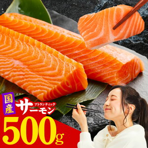 yӂ邳Ɣ[Łzy󂠂z Y AgeBbNT[ 500g |[V  ^pbN 2~3pbN TCYs   H hg Jpb` CN jG \e[ t