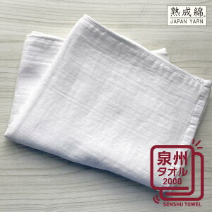 yӂ邳Ɣ[Łzy3000~z K[[̃tFCX^Ii~Nj B^I   J[[ zCg n z _炩 PF