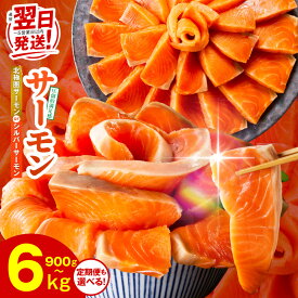 【ふるさと納税】最短翌日発送 サーモン ポーション 1kg / 1.5kg 切り落とし 900g 定期便 訳あり 発送時期が選べる サイズ不揃い 銀鮭 シルバーサーモン 小分け ブロック 柵 刺身 生食 鮮度抜群 冷凍 楽天限定 泉佐野市 送料無料 満足度9割以上 5営業日 圧倒的企業努力