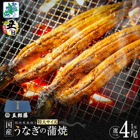 【ふるさと納税】【土用の丑の日】 ビッグサイズ 数量限定 老舗 五郎藤 関西風地焼き 国産 有頭旨鰻 250g×1尾 / 250g×2尾 / 250g×4尾 特大 うなぎ 蒲焼き 炭火 たれ 粉山椒 付き ウナギの蒲焼 魚介類 惣菜 うな丼 ひつまぶし 冷凍 化粧箱入り 泉佐野市 送料無料 先行予約
