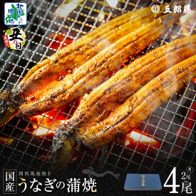 【ふるさと納税】【土用の丑の日】 老舗 五郎藤 関西風地焼き 国産 有頭旨鰻 120g 2尾 計約 240g前後 / 4尾 計 約 480g前後 化粧箱入り うなぎ 蒲焼き 炭火 たれ 粉山椒付き ウナギの蒲焼 手軽 簡単 魚介類 惣菜 うな丼 ひつまぶし 泉佐野市 送料無料 先行予約