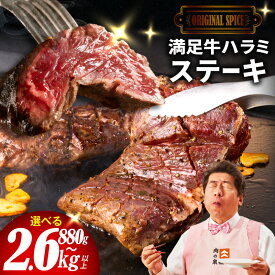 【ふるさと納税】満足 牛ハラミ ステーキ オリジナルスパイス 仕込み 1枚 220g 選べる 内容量 4P / 6P / 8P / 10P / 12P 味付け ハラミ 小分け 焼くだけ 簡単調理 しっかり 肉 普段使い BBQ 牛肉 焼肉 お取り寄せグルメ 大阪府 泉佐野市 送料無料 肉の泉佐野