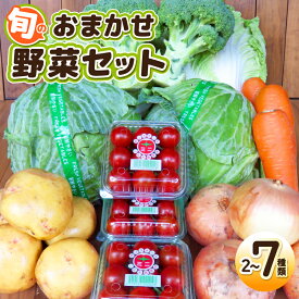 【ふるさと納税】旬のおまかせ 野菜 セット 2〜7種類 国産 新鮮 ミニトマト / キャベツ / 白菜 / サツマイモ / 玉ねぎ / ブロッコリー / 里芋 / じゃがいも 内容 おまかせ 詰め合わせ 旬の味覚 常備野菜 自然の旨み 食品 お取り寄せ 大阪府 泉佐野市 送料無料