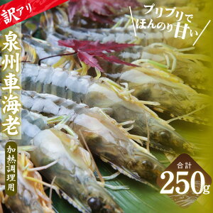 �y�ӂ邳�Ɣ[�Łz�y�󂠂�z TV�ŏЉ�I ������ ���M�����p ��B�ԊC�V 25g�O�� × 10�� ���v 250g ��B �ԊC�V �G�r �v���v�� �Â� �{�B �Ⓚ �L�� �G�r�t���C ����� �C�Y�� ������ �����