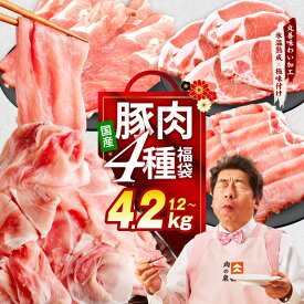 【ふるさと納税】 国産 豚肉 4種 福袋 選べる 内容量 合計 1.2kg / 2.4kg / 4.2kg 定期便 切り落とし ロースステーキ ももスライス ローススライス 小分け 訳あり 肉 普段使い セット 丸善味わい加工 氷温熟成豚 熟成肉 氷温熟成 限定 発送月 泉佐野市 送料無料 肉の泉佐野