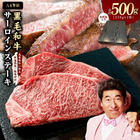 【ふるさと納税】【発送月が選べる】黒毛和牛 サーロインステーキ A4ランク 250g × 2枚 500g 化粧箱入り 氷温熟成×極味付け サーロイン ステーキ 贈り物 お取り寄せ 泉佐野市 送料無料 肉の泉佐野 氷温熟成牛 牛肉 熟成肉 氷温熟成 作り方 ふるさと納税オリジナル 限定