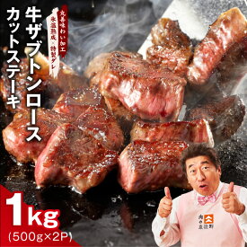 【ふるさと納税】【発送月が選べる】 牛ザブトン ロースステーキ 1kg 500g×2p 極味付け肉 肉 牛 カットステーキ ステーキ 特製ダレ 希少部位 ステーキ丼 お弁当 訳あり 大阪府 泉佐野市 送料無料 肉の泉佐野 氷温熟成牛 牛肉 熟成肉 氷温熟成 ふるさと納税オリジナル 限定
