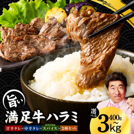 【ふるさと納税】満足牛 ハラミ 選べる 種類 内容量 オリジナルスパイス / 甘辛 / 中辛タレ / 3種セット 400g / 1kg / 1.5kg / 2kg / 2.5kg / 3kg 小分け 焼くだけ 簡単調理 ハラミ丼 野菜炒め 肉 焼き肉 BBQ 牛肉 お取り寄せグルメ 大阪府 泉佐野市 送料無料 肉の泉佐野