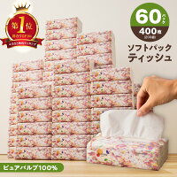 【ふるさと納税】楽天総合1位獲得 ソフトパックティッシュ 【選べる発送月】...