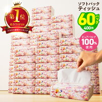 【ふるさと納税】楽天総合1位獲得 ソフトパックティッシュ 【選べる発送月】...