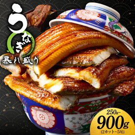 【ふるさと納税】先行予約 土用の丑の日 うなぎ 蒲焼き 暴れ盛り 250g ～ 900g 大サイズ 秘伝のタレ ふっくら 柔らか 真空パック 電子レンジ対応 湯煎 簡単解凍 時短調理 肉厚 魚 訳あり サイズ不揃い うな重 うな丼 ひつまぶし うまき 惣菜 おかず 冷凍 泉佐野市 送料無料