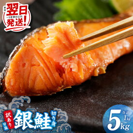 【ふるさと納税】最短翌日発送 総合1位獲得 訳あり 銀鮭 切り身 甘塩 サイズ不揃い 規格外 選べる 発送月 定期便 定番 / 厚切り 1kg 〜 5kg 塩分控えめ バター焼き 魚 海鮮 魚介 鮭 朝食 お弁当 おかず バラ凍結 簡単調理 大好評 5営業日大阪府 泉佐野市 送料無料