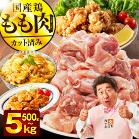 【ふるさと納税】【特別規格】 最短翌日発送 国産 鶏肉もも カット済み 500g ～ 5kg 選べる 発送月 氷温熟成 極味付け 小分け 普段使い カット 肉 鶏肉 丸善味わい加工 ふるさと納税オリジナル 訳あり サイズ不揃い 5営業日 泉佐野市 送料無料 肉の泉佐野 圧倒的企業努力