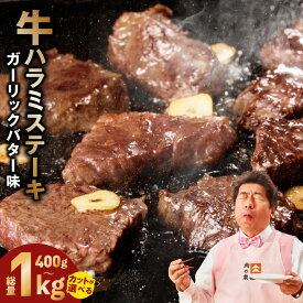【ふるさと納税】【発送月が選べる】 牛ハラミ ステーキ 選べる種類 内容量 ひと口カット ガーリックバター味 小分け 厚切り 牛肉 肉厚 肉 ハラミ 柔らか 希少部位 味付け肉 焼くだけ 訳あり サイズ 不揃い 焼肉 バーベキュー BBQ 冷凍 大阪府 泉佐野市 送料無料 肉の泉佐野