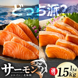 楽天市場】【ふるさと納税】ゴルフクラブ 侍伊織 紫玉 ドライバー 10.5 