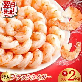 【ふるさと納税】最短翌日発送 むきえび 高級ブラックタイガー 特大 選べる 内容量 500g 〜 2kg 銀鮭 セット 定期便 訳あり 海老 サイズ不揃い 食べ応え抜群 簡単調理 バラ凍結 炒め物 エビチリ エビフライ ホームパーティー BBQ 家族 冷凍 発送月 泉佐野市 送料無料