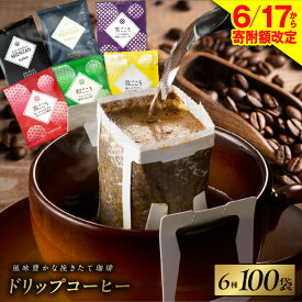 【ふるさと納税】【6/17から寄附額改定】 厳選ドリップコーヒー 100袋 6種 挽きたて 工場直送 詰め合わせ 本格 スペシャリティコーヒー バリ・アラビカ神山 ブレンド 珈琲 セット ドリップバッグ ギフト用 プレゼント用 自宅用 飲み比べ 大阪府 泉佐野市 送料無料