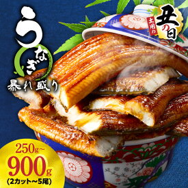 【ふるさと納税】【土用の丑の日7/21迄】 うなぎ 蒲焼 暴れ盛り 250g ～ 900g 大サイズ 秘伝のタレ ふっくら 柔らか 真空パック 電子レンジ対応 湯煎 簡単解凍 時短調理 訳あり サイズ不揃い 肉厚 うな重 うな丼 うなぎ蒲焼 ひつまぶし 惣菜 おかず 冷凍 泉佐野市 送料無料