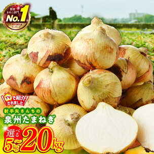 1位獲得 ★高評価 射手矢さんちの 泉州たまねぎ 5kg ...
