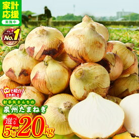 【ふるさと納税】【家計応援企画実施中!】 泉州たまねぎ 1位獲得 選べる内容量 5kg 10kg 20kg 訳あり サイズ不揃い 甘い 肉厚 新たまねぎ 国産 M級以上 期間限定 肉じゃが カレー 野菜 高評価 満足度98％ 泉佐野市 送料無料