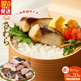 【ふるさと納税】訳あり さわら 切身 1切れ 約 50g 選べる 内容量 500g / 1kg 定期便 便利 小分け 漁師 手切り 泉州 弁当 おかず 朝食 時短 サイズ不揃い 規格外 冷凍食品 塩焼き 西京焼き 南蛮漬け 魚 最短 翌日発送 5営業日 泉佐野市 送料無料