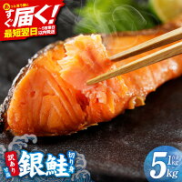 【ふるさと納税】最短翌日発送 総合1位獲得 訳あり 銀鮭 切り身 甘塩 選...
