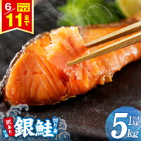 ふるさと納税 銀鮭 ふるさと納税 鮭 ふるさと納税 訳あり ふるさと納税 ...
