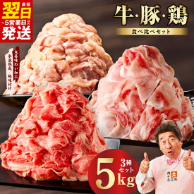 【ふるさと納税】【発送月が選べる】 国産 牛肉 豚肉 鶏肉 セット 合計 5kg 氷温熟成×極味付け 3種 食べ比べ 肉 普段使い 味付き 小分け カレー サイズ不揃い 熟成肉 氷温熟成 作り方 ふるさと納税オリジナル 限定 肉の泉佐野 最短 翌日発送 5営業日 泉佐野市 送料無料