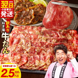 【ふるさと納税】ねぎ塩牛たん 最短翌日発送 訳あり 選べる 500g ～ 2.5kg ふるさと納税 牛タン ふるさと納税 牛たん 薄切り 定期便 成型 規格外 小分け 味付け 塩だれ 牛ハラミ 牛肉 タン 肉 冷凍 焼肉 BBQ 焼くだけ ストック 発送月 肉の泉佐野 大阪府 泉佐野市 送料無料