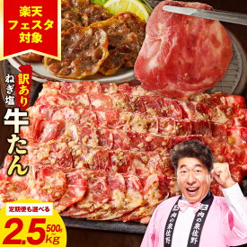 【ふるさと納税】＼期間限定フェスタ対象／ ねぎ塩牛たん 最短翌日発送 訳あり 選べる 500g ～ 2.5kg ふるさと納税 牛タン ふるさと納税 牛たん 薄切り 定期便 成型 規格外 小分け 味付け 塩だれ 牛ハラミ お肉 牛肉 タン 焼肉 BBQ 肉 発送月 大阪府 泉佐野市 肉の泉佐野