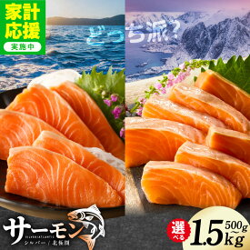 【ふるさと納税】最短翌日発送 サーモン ポーション 選べる 500g / 1kg / 1.5kg ふるさと納税 刺身 訳あり 発送時期が選べる サイズ不揃い 銀鮭 シルバーサーモン 小分け ブロック 柵 ソテー 生食 アレンジ 簡単 冷凍 定期便 5営業日 泉佐野市 送料無料 家計応援 楽天限定