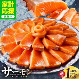 【ふるさと納税】最短翌日発送 サーモン ポーション 選べる 500g / 1kg ふるさと納税 刺身 訳あり 発送時期が選べる サイズ不揃い 銀鮭 シルバーサーモン 小分け ブロック 柵 ソテー 生食 アレンジ 簡単 冷凍 定期便 5営業日 泉佐野市 送料無料 家計応援 楽天限定