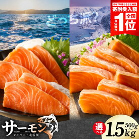 【ふるさと納税】サーモン ポーション 選べる 500g / 1kg ふるさと納税 刺身 訳あり 発送時期が選べる サイズ不揃い 銀鮭 シルバーサーモン 小分け ブロック 柵 ソテー 生食 アレンジ 簡単 冷凍 定期便 最短翌日発送 5営業日 泉佐野市 送料無料 家計応援 楽天限定