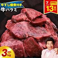 【ふるさと納税】＼期間限定フェスタ 7/13迄／ 牛ハラミ 最短翌日発送 ...