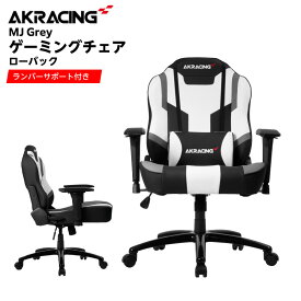 【ふるさと納税】ゲーミングチェア 1脚 AKRacing MJ Grey エーケーレーシング ローバックチェア ランバーサポート付き チェア 椅子 麻雀 ゲーム 経年劣化に強い 国産素材 合成皮革 AKRacingチェア 家具 大阪府 泉佐野市 送料無料