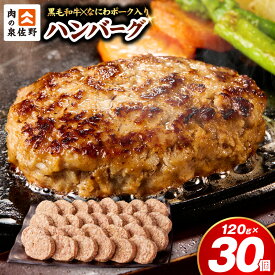 【ふるさと納税】冷凍のまま焼ける ＼圧巻の30個／ ハンバーグ 黒毛和牛入り 合計3.6kg 1個120g ふるさと納税 訳あり ふるさと納税 ハンバーグ 選べる発送月 肉の泉佐野 焼くだけ ジューシー 合挽き 時短 惣菜 ストック 小分け 個包装 大阪府 泉佐野市 送料無料