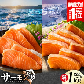 【ふるさと納税】サーモン ポーション 選べる 500g / 1kg ふるさと納税 刺身 訳あり 発送時期が選べる サイズ不揃い 銀鮭 シルバーサーモン 小分け ブロック 柵 ソテー 生食 アレンジ 簡単 冷凍 定期便 最短翌日発送 5営業日 泉佐野市 送料無料 家計応援 楽天限定